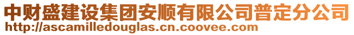 中財盛建設集團安順有限公司普定分公司