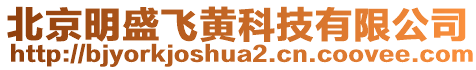 北京明盛飛黃科技有限公司