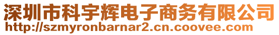 深圳市科宇輝電子商務(wù)有限公司