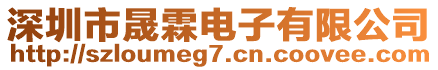 深圳市晟霖電子有限公司