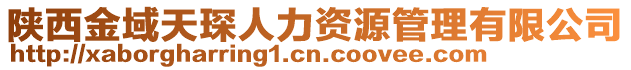 陜西金域天琛人力資源管理有限公司