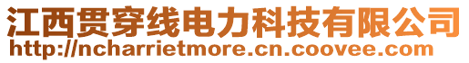 江西貫穿線電力科技有限公司