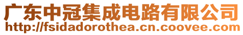 廣東中冠集成電路有限公司