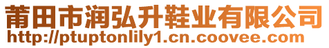 莆田市潤弘升鞋業(yè)有限公司