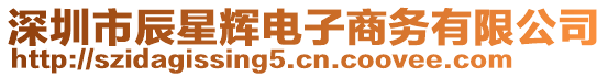 深圳市辰星輝電子商務(wù)有限公司