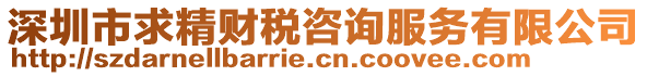 深圳市求精財(cái)稅咨詢服務(wù)有限公司