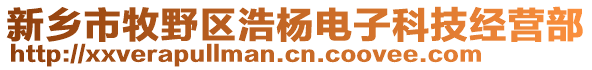 新乡市牧野区浩杨电子科技经营部