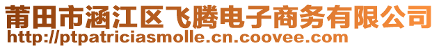 莆田市涵江區(qū)飛騰電子商務(wù)有限公司