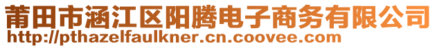 莆田市涵江區(qū)陽騰電子商務(wù)有限公司