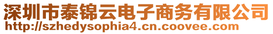 深圳市泰錦云電子商務(wù)有限公司