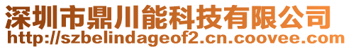 深圳市鼎川能科技有限公司