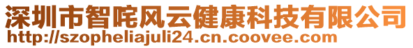 深圳市智咤风云健康科技有限公司