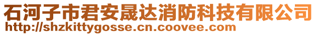 石河子市君安晟達消防科技有限公司