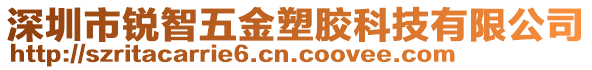 深圳市锐智五金塑胶科技有限公司