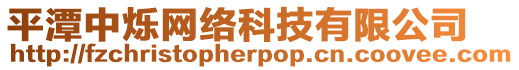 平潭中爍網(wǎng)絡(luò)科技有限公司