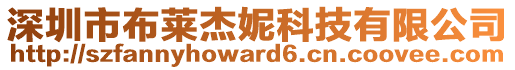 深圳市布萊杰妮科技有限公司