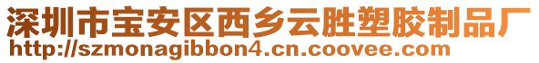 深圳市寶安區(qū)西鄉(xiāng)云勝塑膠制品廠