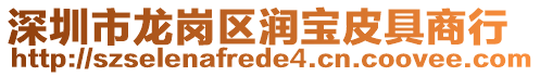 深圳市龙岗区润宝皮具商行