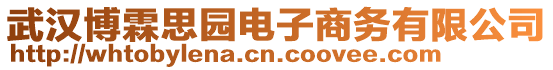 武漢博霖思園電子商務(wù)有限公司