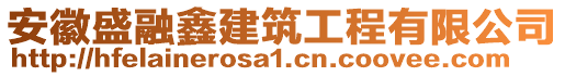 安徽盛融鑫建筑工程有限公司