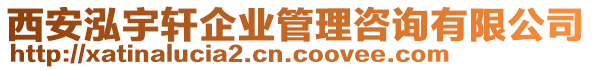 西安泓宇軒企業(yè)管理咨詢有限公司