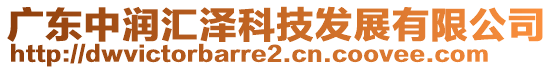 廣東中潤匯澤科技發(fā)展有限公司