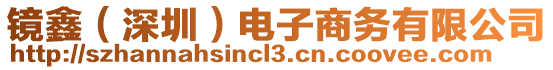 鏡鑫（深圳）電子商務(wù)有限公司