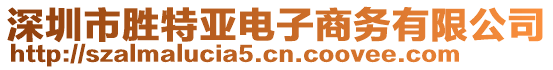 深圳市勝特亞電子商務有限公司