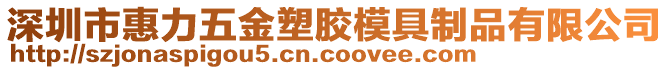 深圳市惠力五金塑膠模具制品有限公司