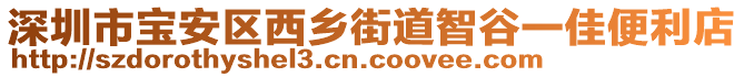 深圳市寶安區(qū)西鄉(xiāng)街道智谷一佳便利店