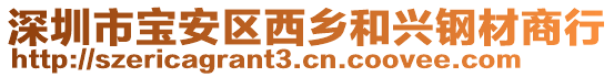 深圳市寶安區(qū)西鄉(xiāng)和興鋼材商行