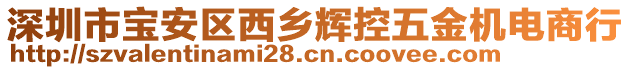 深圳市寶安區(qū)西鄉(xiāng)輝控五金機電商行