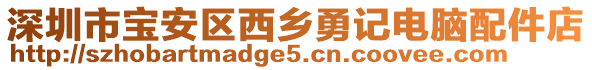 深圳市寶安區(qū)西鄉(xiāng)勇記電腦配件店