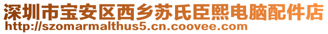 深圳市寶安區(qū)西鄉(xiāng)蘇氏臣熙電腦配件店