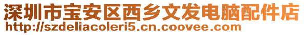 深圳市寶安區(qū)西鄉(xiāng)文發(fā)電腦配件店