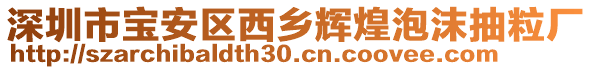 深圳市寶安區(qū)西鄉(xiāng)輝煌泡沫抽粒廠