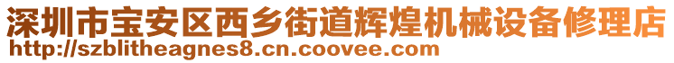 深圳市寶安區(qū)西鄉(xiāng)街道輝煌機械設備修理店