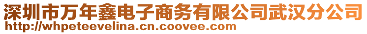 深圳市萬年鑫電子商務(wù)有限公司武漢分公司