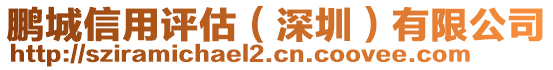 鵬城信用評估（深圳）有限公司