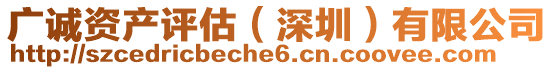 廣誠資產(chǎn)評估（深圳）有限公司