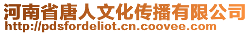 河南省唐人文化传播有限公司