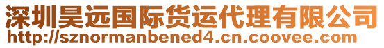 深圳昊遠(yuǎn)國(guó)際貨運(yùn)代理有限公司