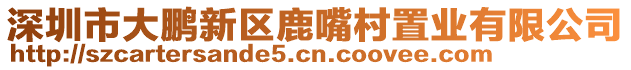 深圳市大鵬新區(qū)鹿嘴村置業(yè)有限公司