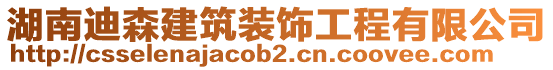 湖南迪森建筑裝飾工程有限公司