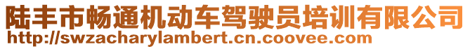 陸豐市暢通機(jī)動車駕駛員培訓(xùn)有限公司