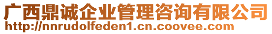 廣西鼎誠企業(yè)管理咨詢有限公司