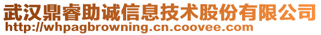 武漢鼎睿助誠(chéng)信息技術(shù)股份有限公司