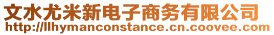 文水尤米新電子商務(wù)有限公司