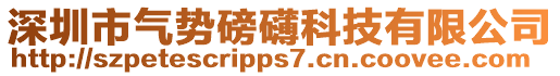 深圳市氣勢磅礴科技有限公司