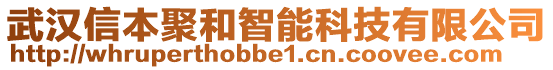 武漢信本聚和智能科技有限公司